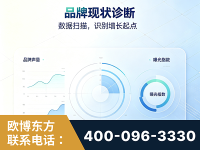 横州-品牌现状诊断