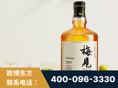横州-梅见青梅酒